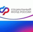 Более 100 сервисов Социального фонда представлено на портале госуслуг - Доволенский район