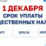 Заплатите вовремя налоги! - Доволенский район