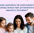 Какие выплаты не учитываются в доход семьи при установлении единого пособия - Доволенский район