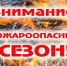 О соблюдении обязательных требований лесного законодательства - Доволенский район