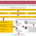 Новая поддержка для семей с детьми-инвалидами в Новосибирской области: всё об электронном сертификате